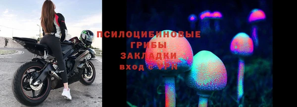 прущие крисы Алексин