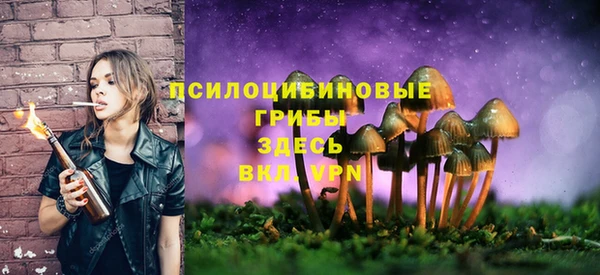 прущие крисы Алексин