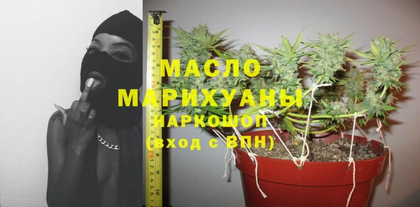 ECSTASY Алзамай