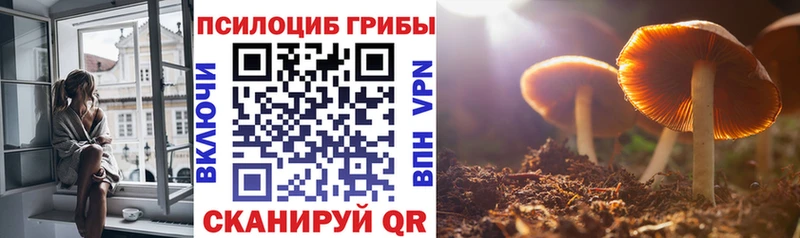 Псилоцибиновые грибы Magic Shrooms  блэк спрут ТОР  Кореновск 
